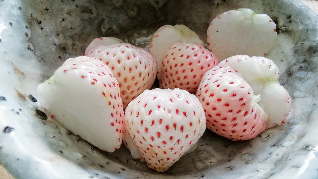 white Snow strawberries in a bowl, sliced in half showing light pink blush outside and pure white inside